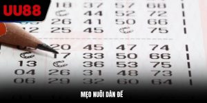 mẹo nuôi dàn đề hot nhất 2025